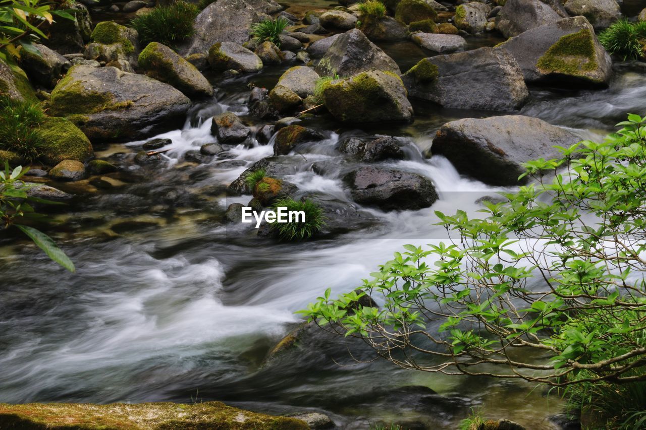 Scenic view of stream flowing through rocks in forest