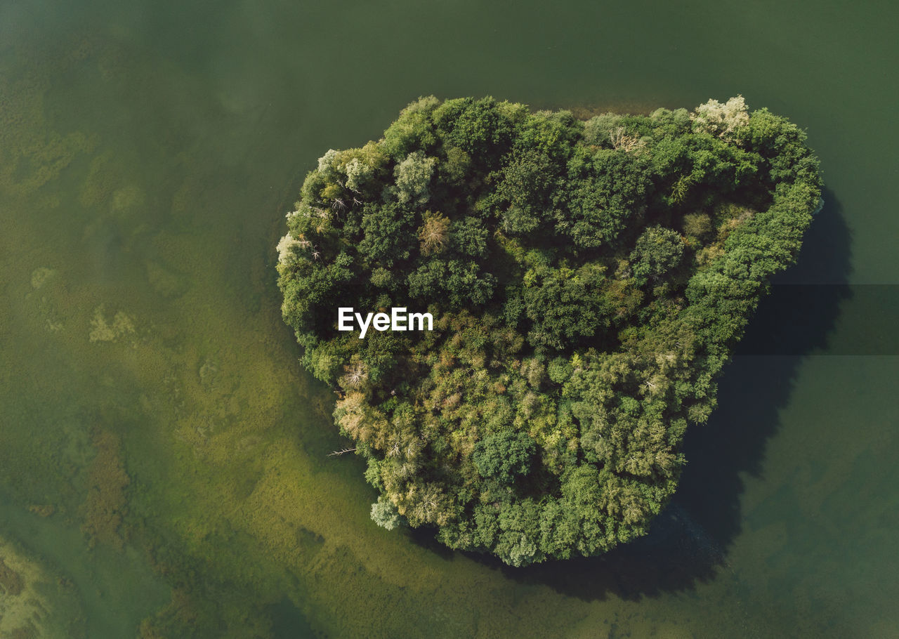 Directly above aerial shot of trees surrounded by lake