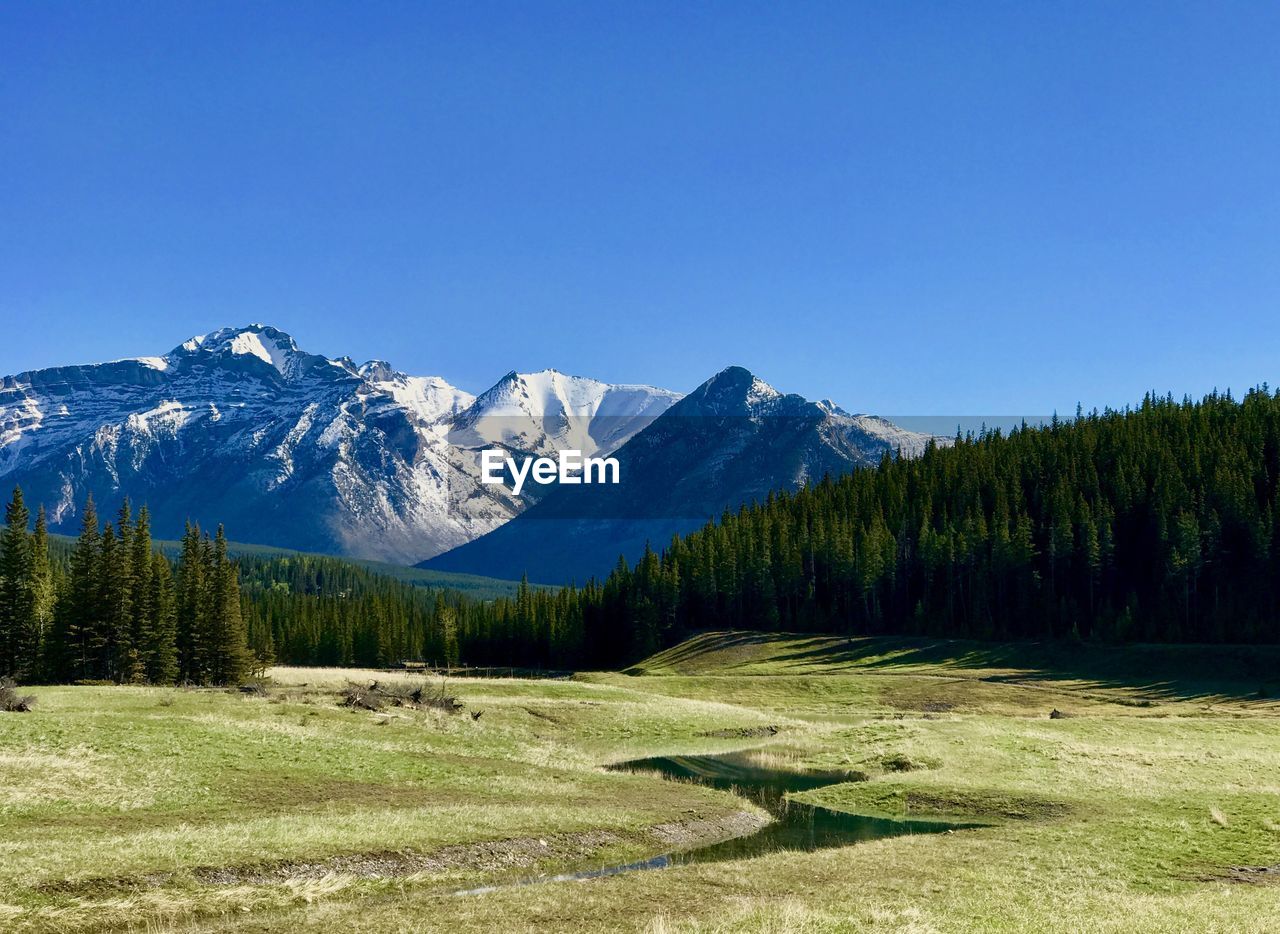 Scenic view of landscape against clear blue sky during winter