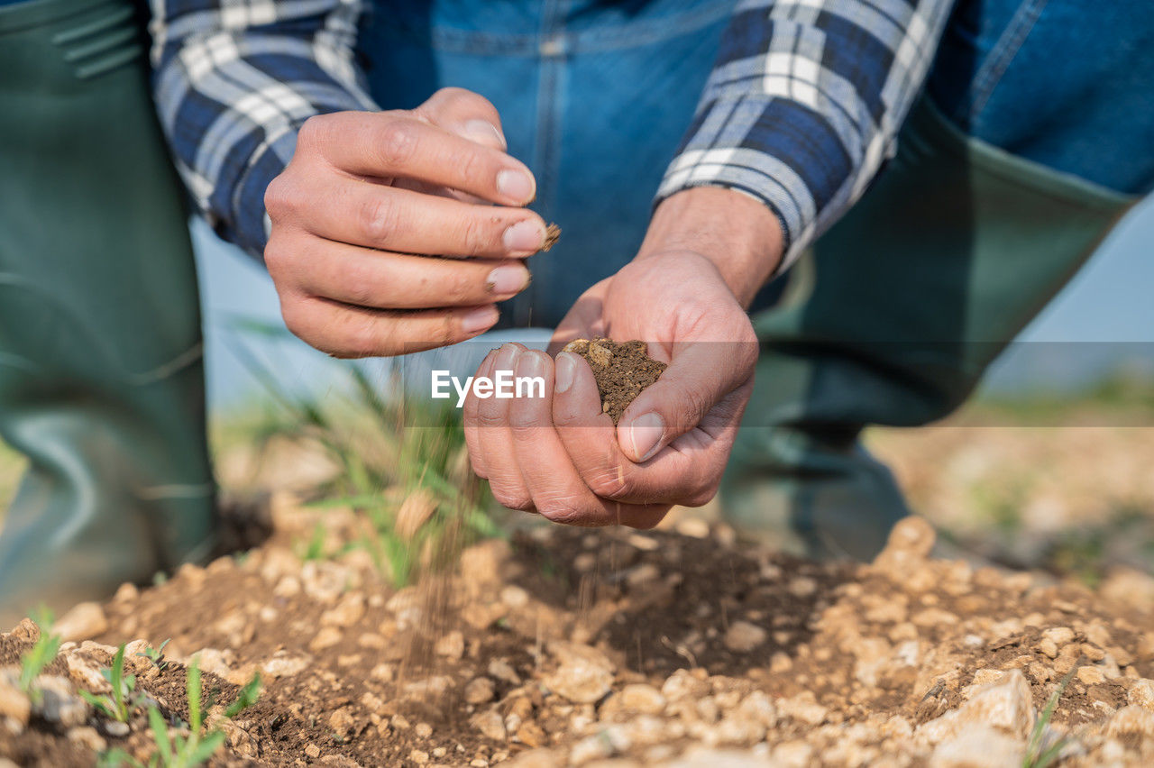 midsection of man holding dry plants