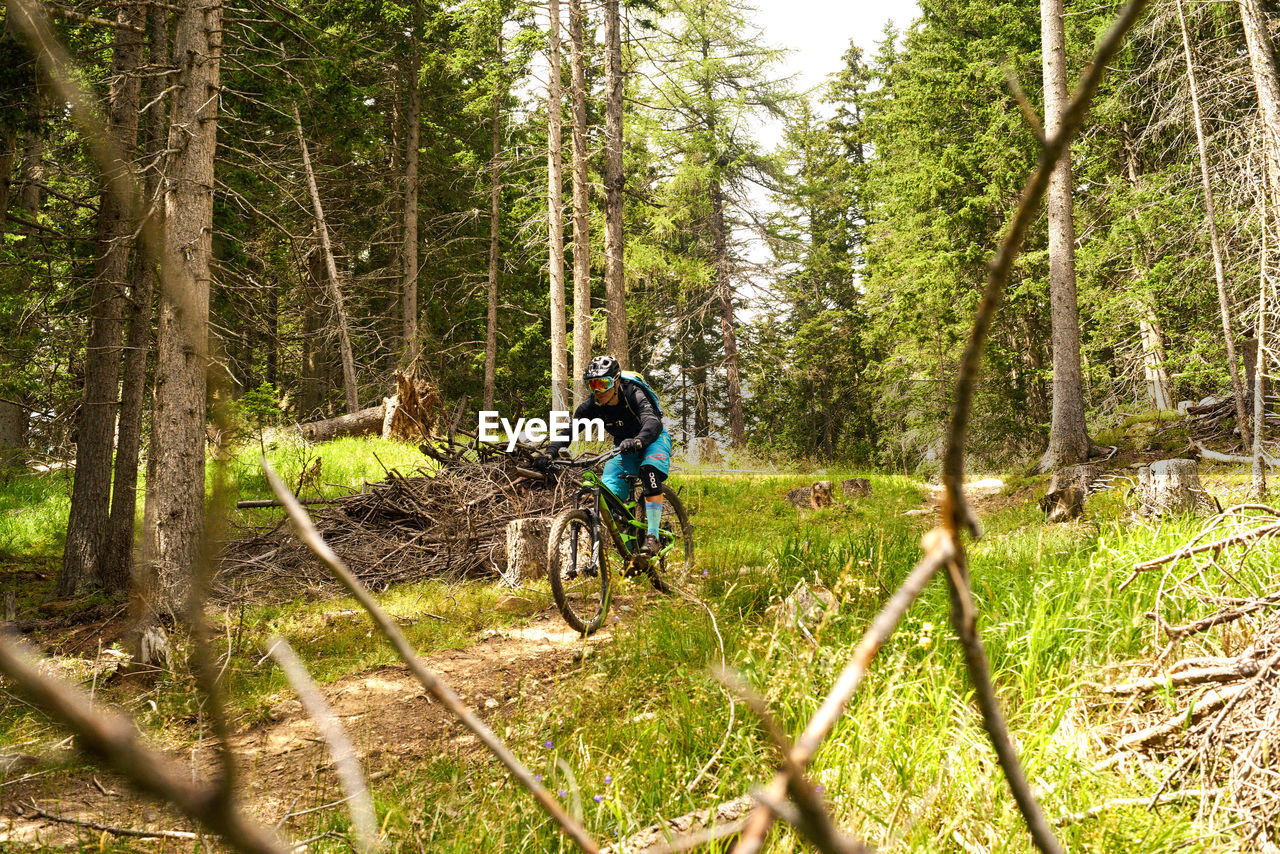 MAN RIDING BICYCLE ON FOREST