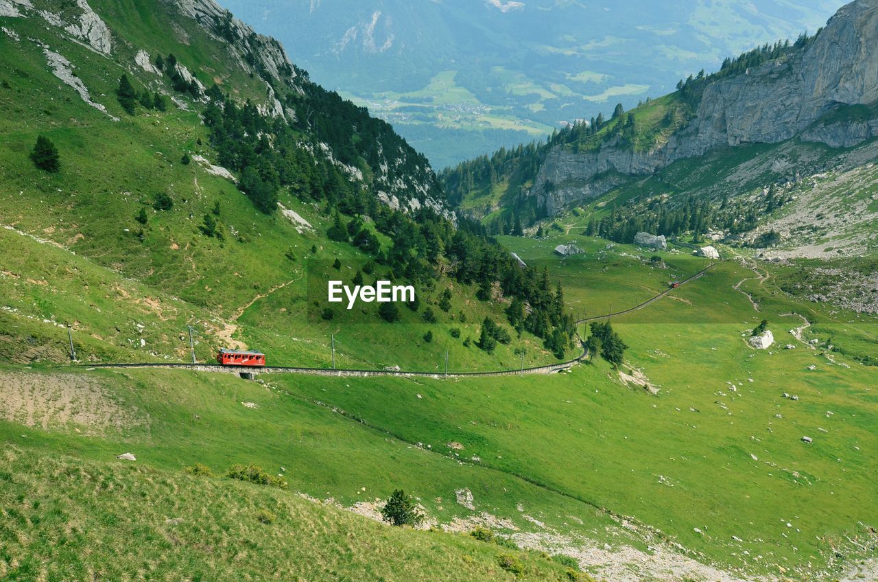 View of trees on mountain