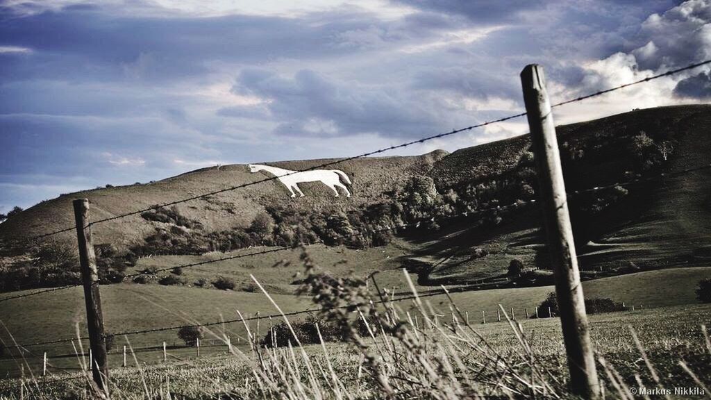 VIEW OF RURAL LANDSCAPE