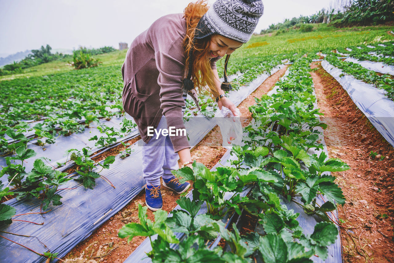 Smiling woman plucking flowers while standing on field