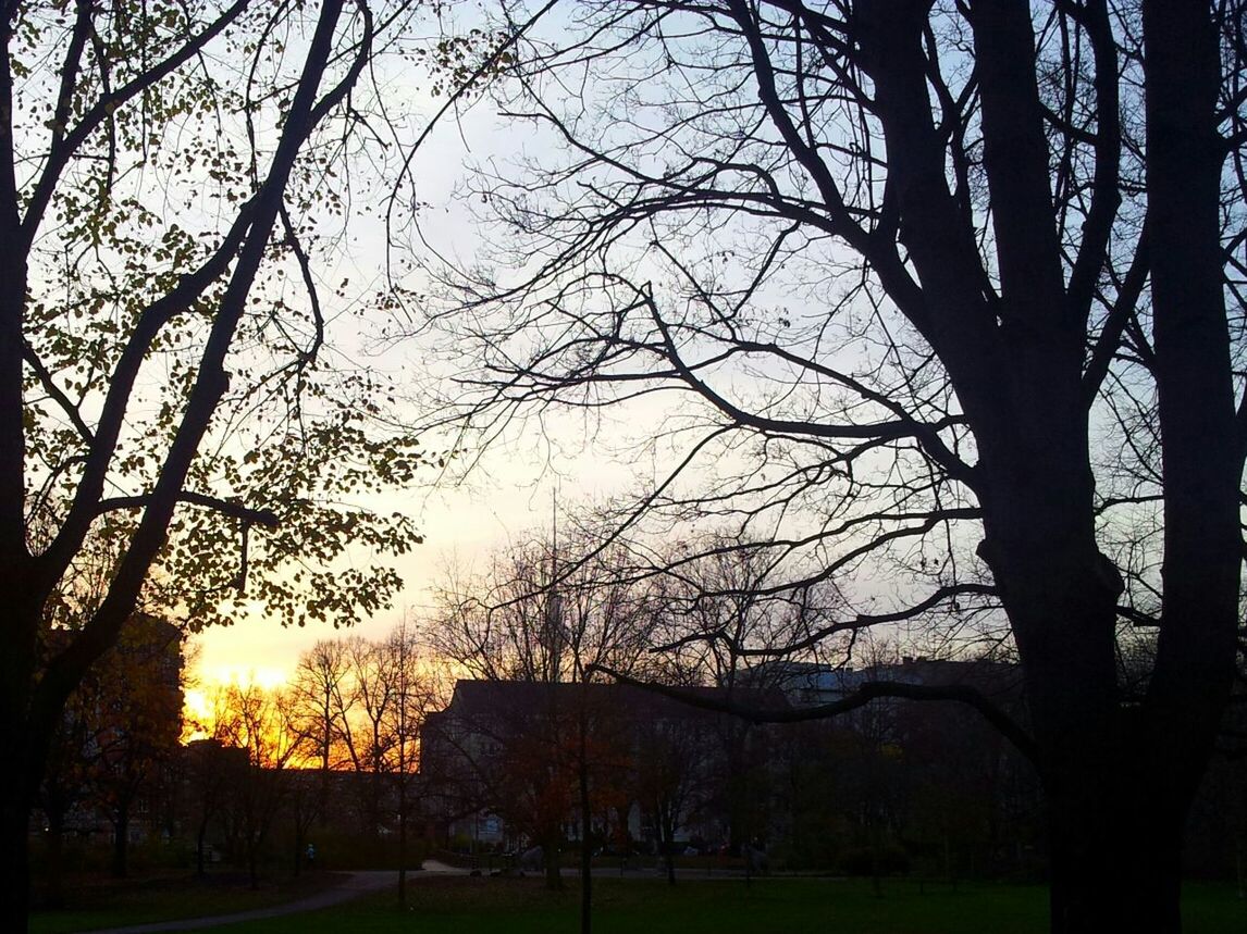 Silhouette trees in park against sky during sunset