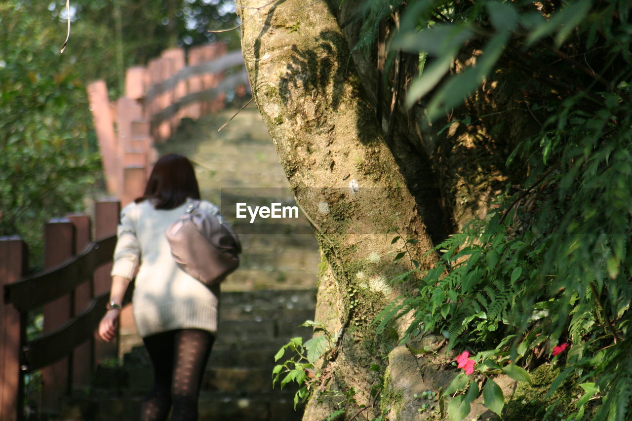 REAR VIEW OF FRIENDS STANDING ON TREE TRUNK