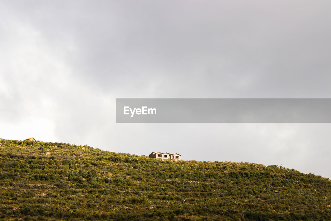 SCENIC VIEW OF A FIELD