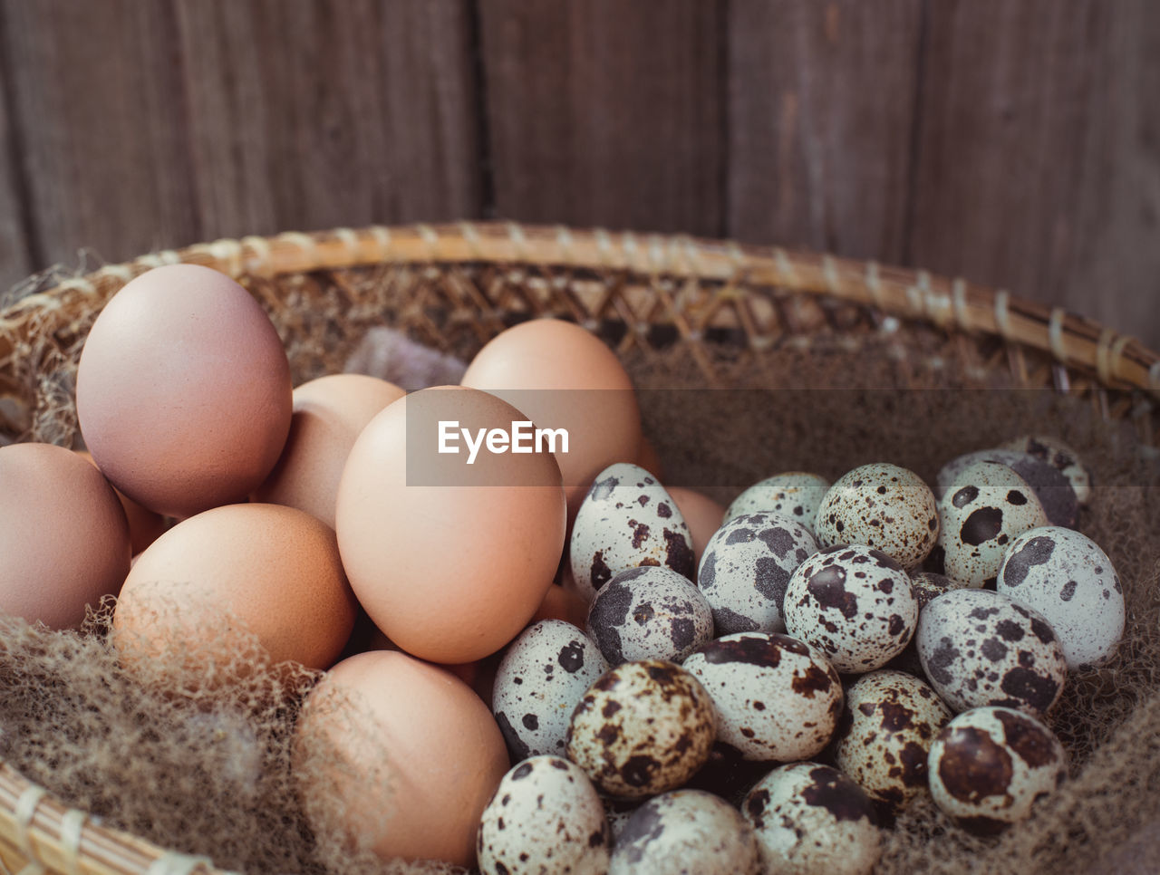 HIGH ANGLE VIEW OF EGGS ON CONTAINER