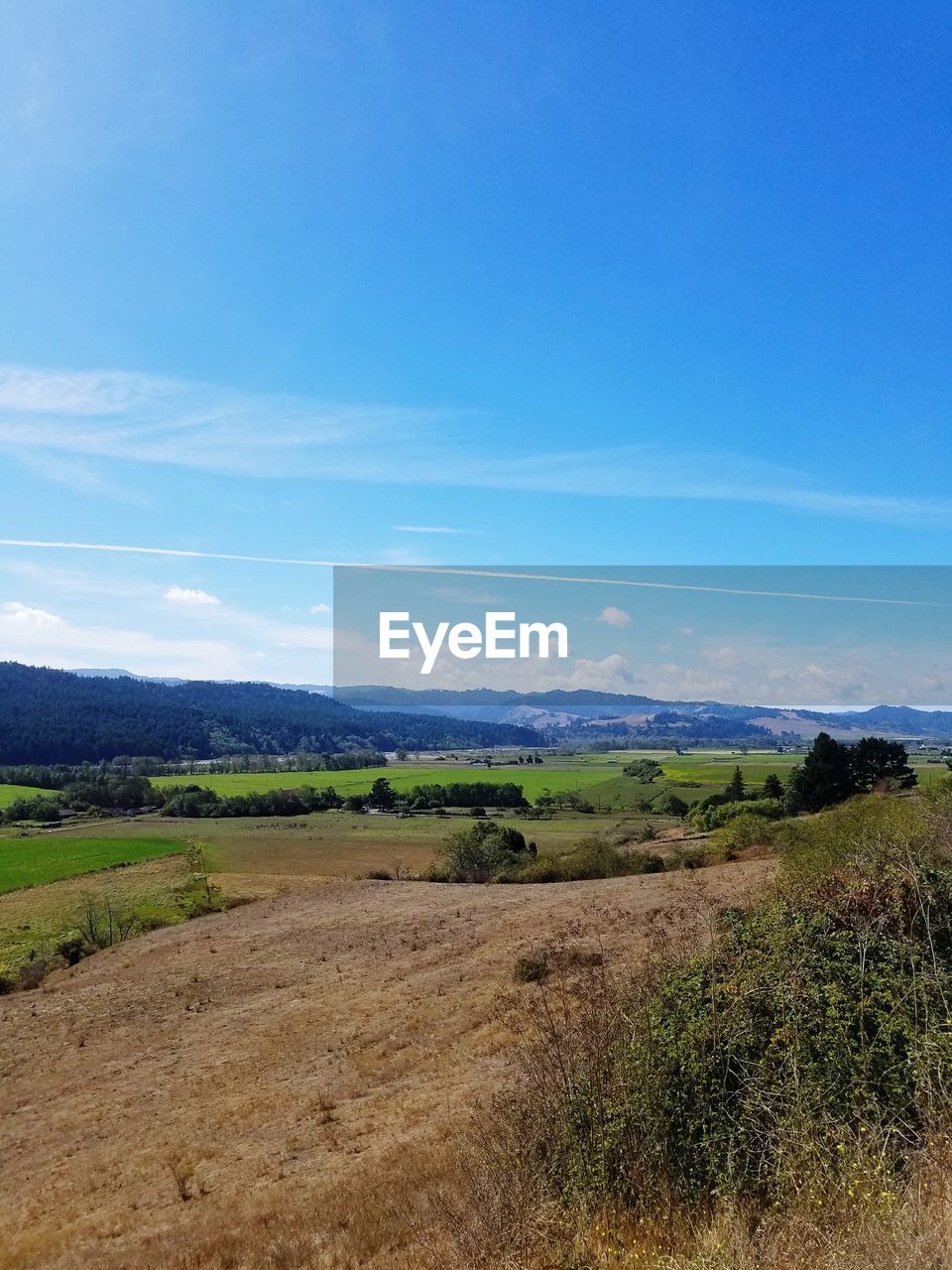 SCENIC VIEW OF AGRICULTURAL FIELD AGAINST BLUE SKY