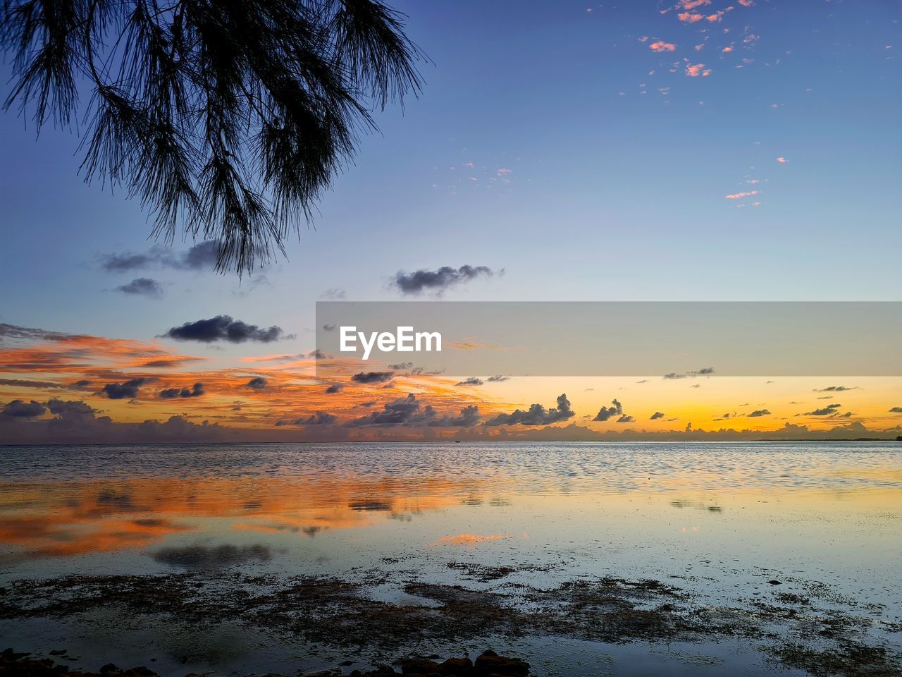 SCENIC VIEW OF SEA DURING SUNSET