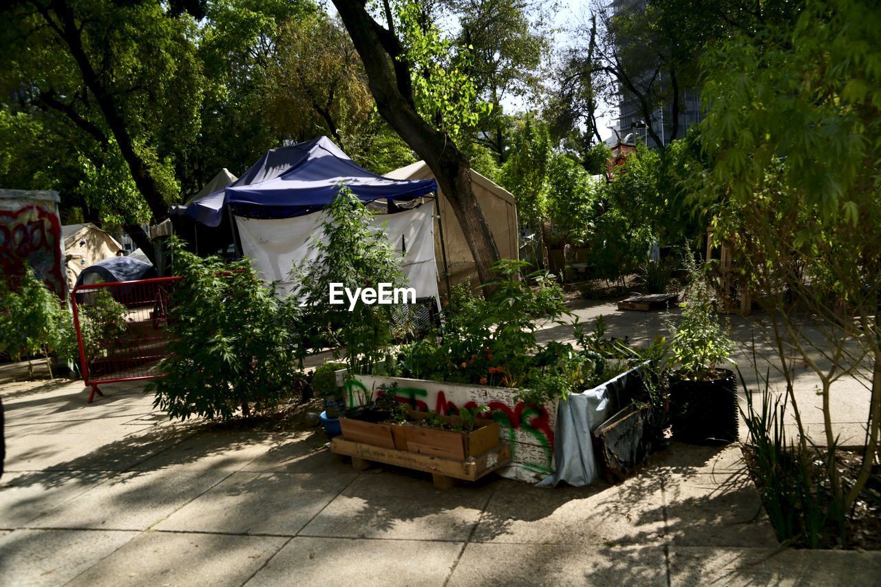 VIEW OF EMPTY CHAIRS AGAINST TREES AND PLANTS