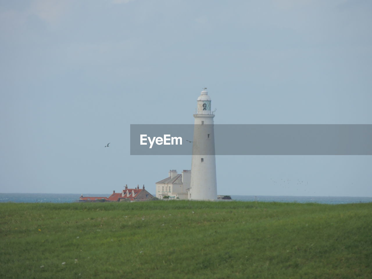 Lighthouse on field by sea against sky