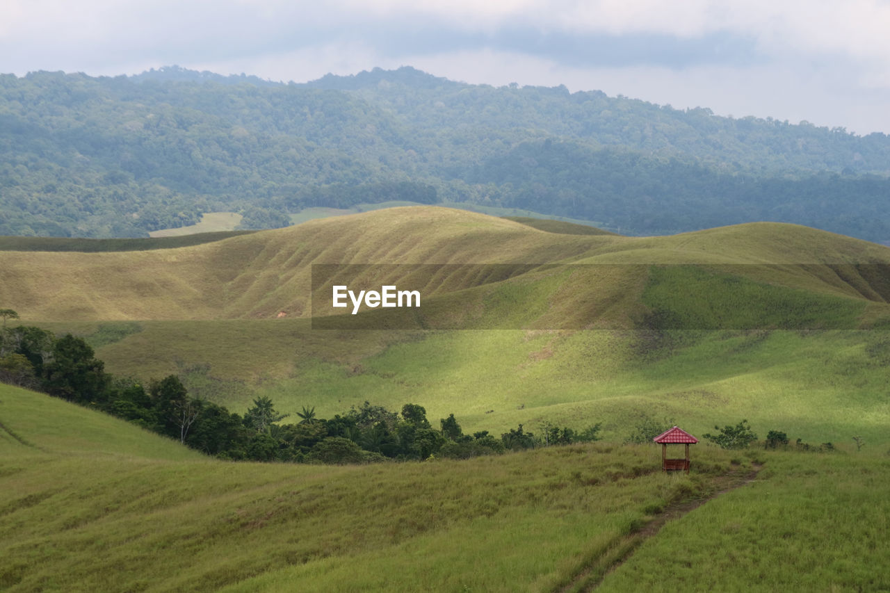 Scenic view of landscape against sky