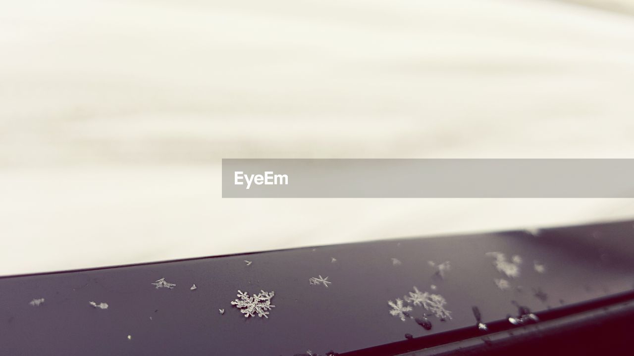 Close-up of snowflakes on railing