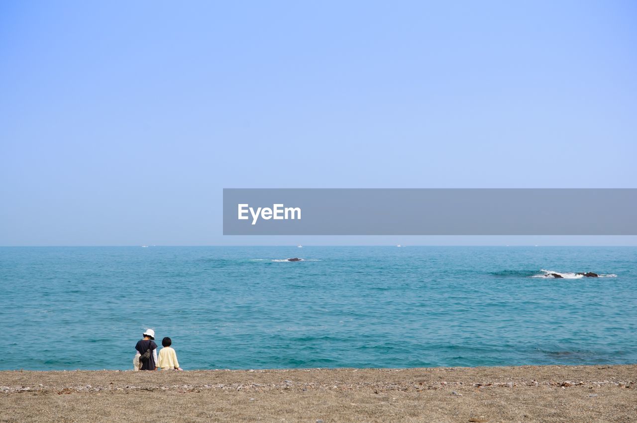 Rear view of man on sea against clear sky