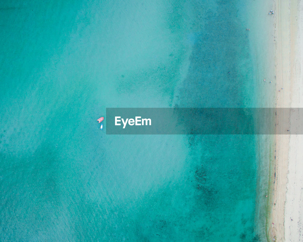 HIGH ANGLE VIEW OF SWIMMING IN SEA