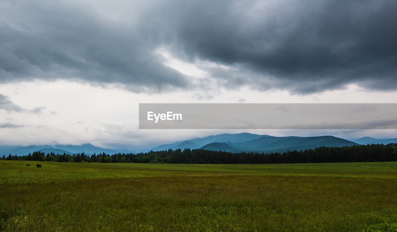 Scenic view of field against sky