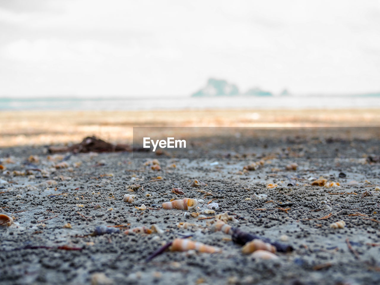 Surface level of beach against sky