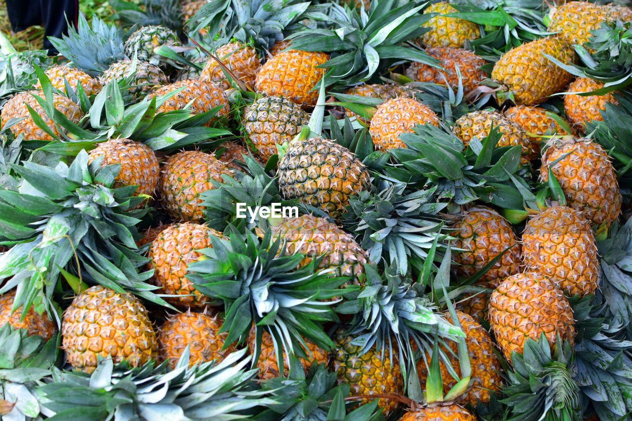 Full frame shot of fruits at market. healthy fruit pineapple and tropical fruits background.