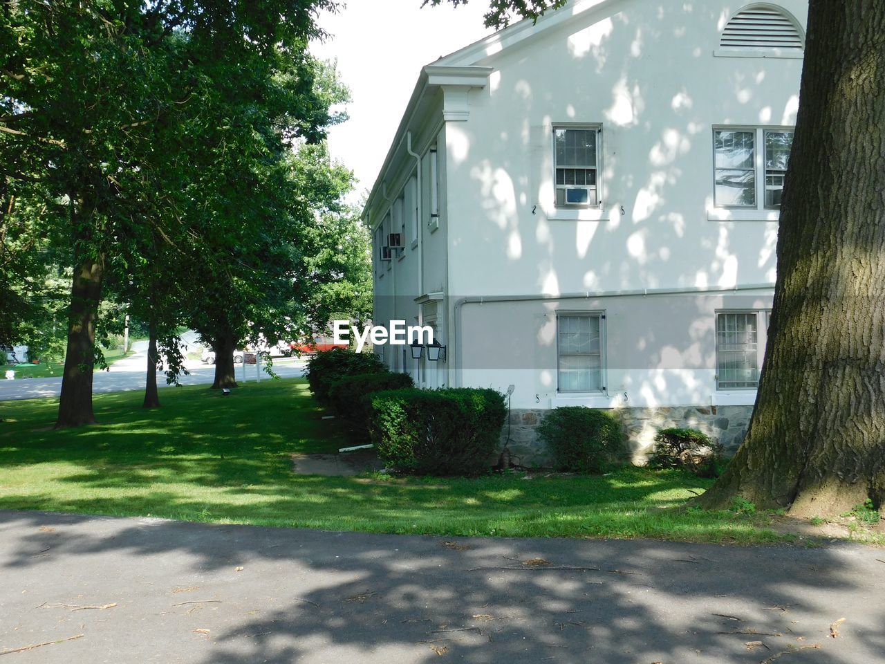 VIEW OF HOUSE AND TREES