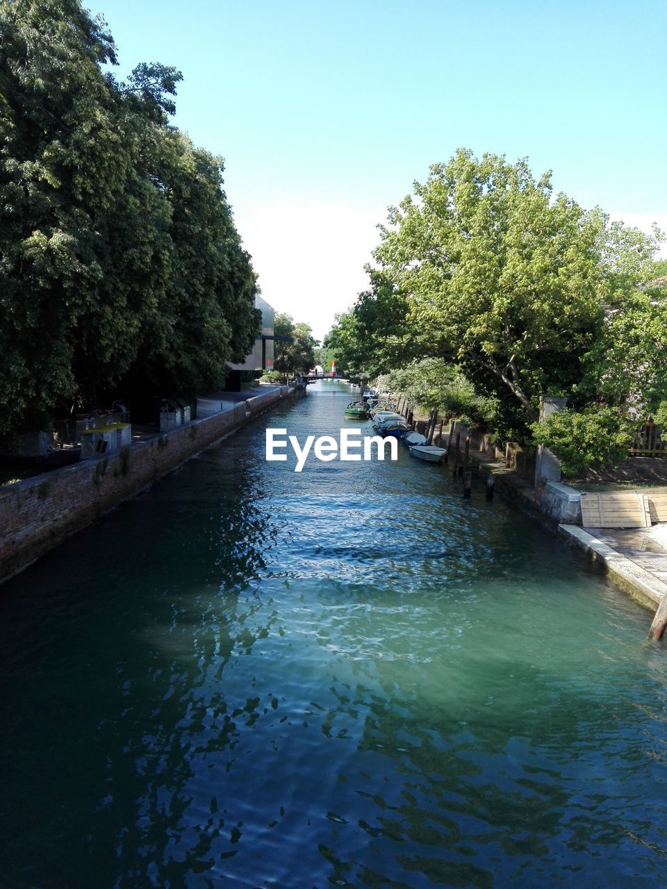 VIEW OF CANAL ALONG TREES