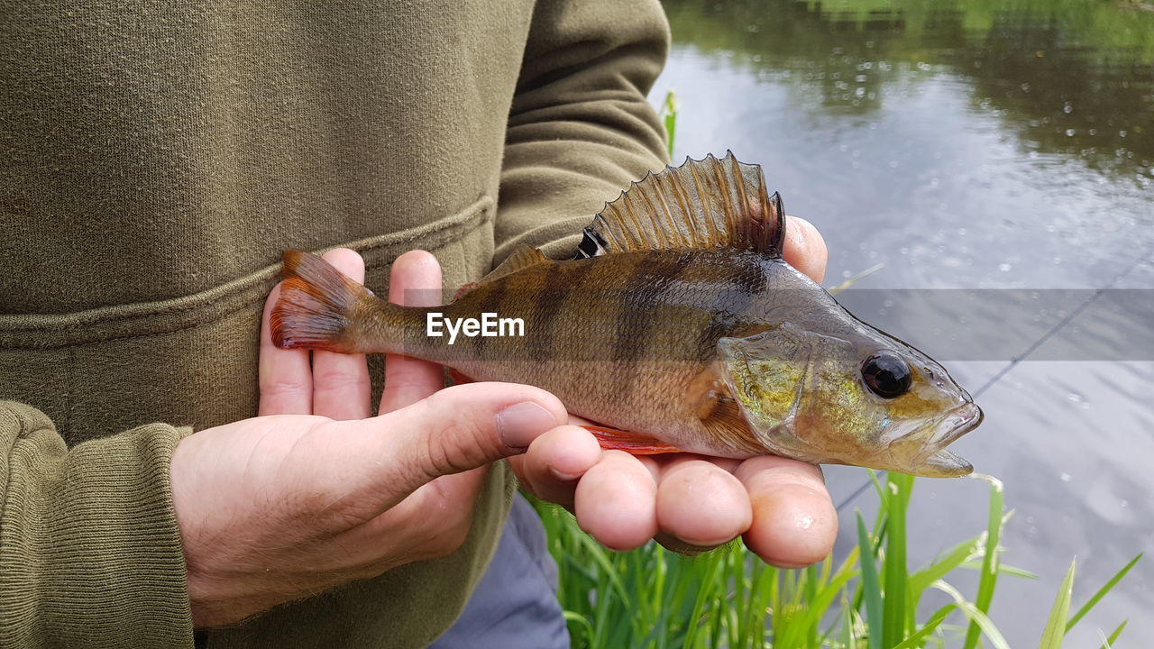 Midsection of man holding fish in lake