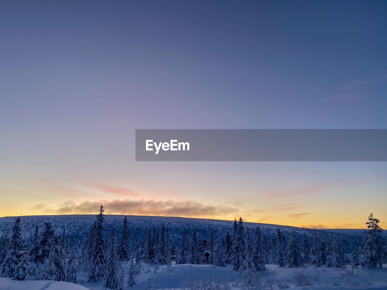 winter, snow, cold temperature, sky, environment, landscape, scenics - nature, beauty in nature, nature, tree, tranquil scene, plant, sunset, tranquility, blue, land, frozen, cloud, non-urban scene, no people, copy space, forest, dawn, rural scene, mountain, coniferous tree, idyllic, pine tree, sunlight, horizon, field, white, woodland, horizon over land, outdoors, pinaceae, ice, sun, twilight, evening, remote, pine woodland, freezing, travel destinations, frost