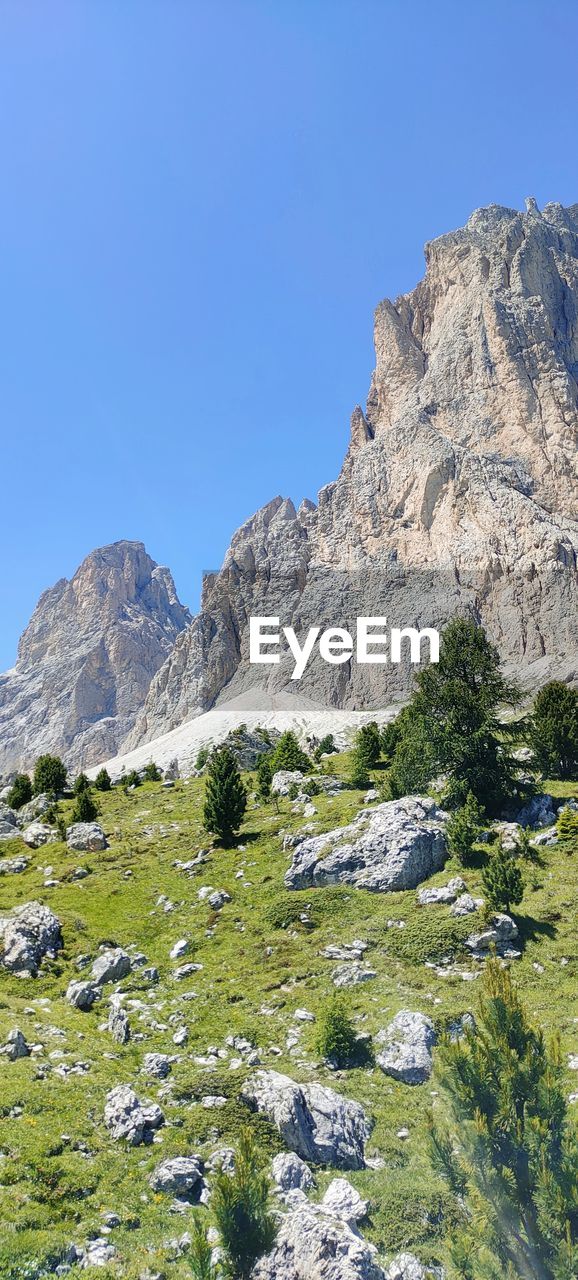 mountain, scenics - nature, sky, landscape, environment, beauty in nature, rock, nature, plant, wilderness, clear sky, land, mountain range, adventure, non-urban scene, walking, no people, tranquility, plateau, tree, travel destinations, blue, tranquil scene, day, travel, sunny, outdoors, geology, outdoor pursuit, grass, backpacking, ridge, valley, coniferous tree, idyllic, rock formation, leisure activity, activity, pinaceae, water, pine tree, physical geography, tourism, mountain peak, remote, green
