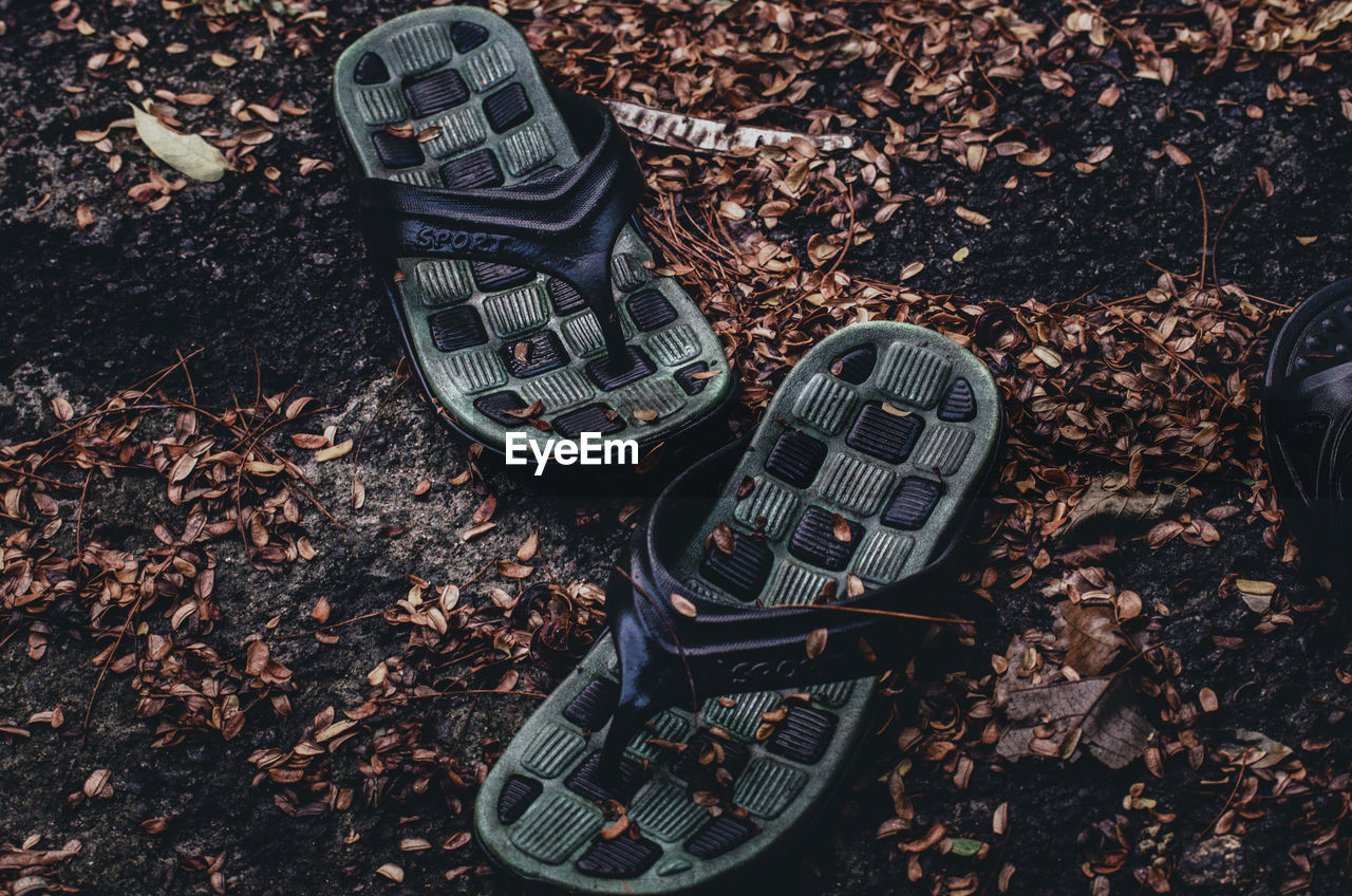 High angle view of shoes on dead leaves