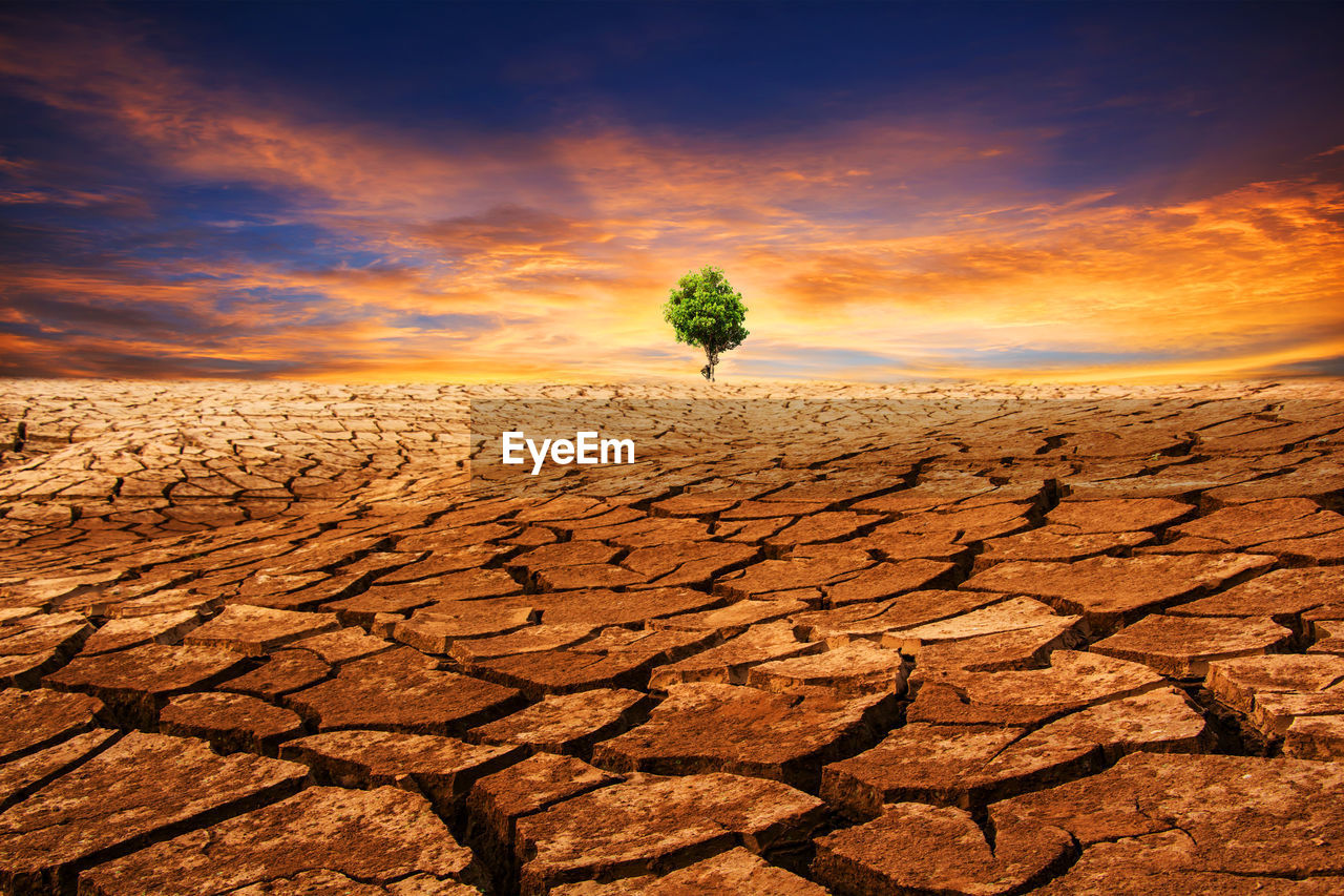 SCENIC VIEW OF DESERT LAND AGAINST SKY