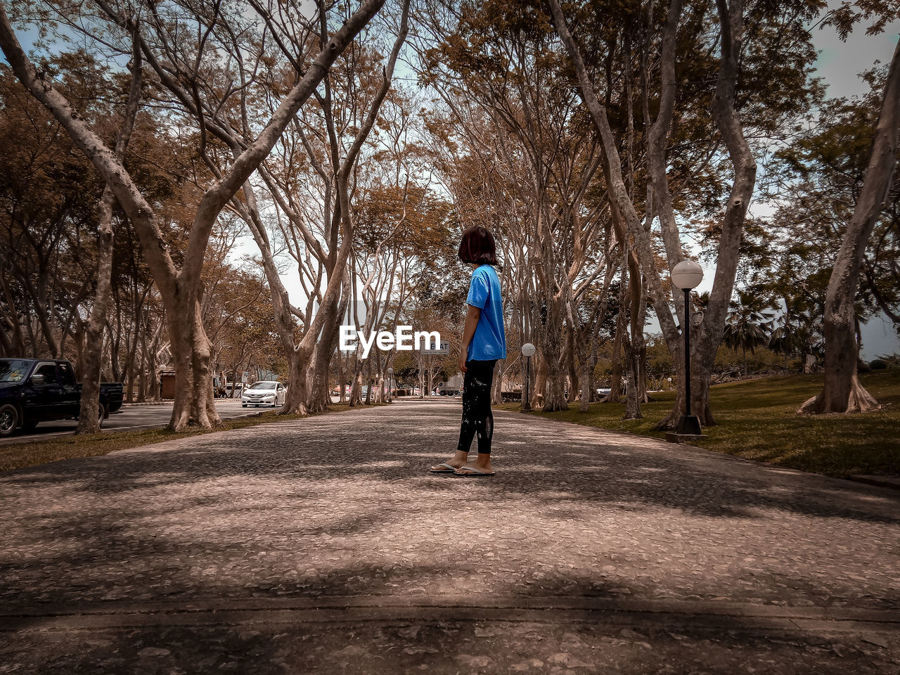 Young woman standing on footpath amidst trees