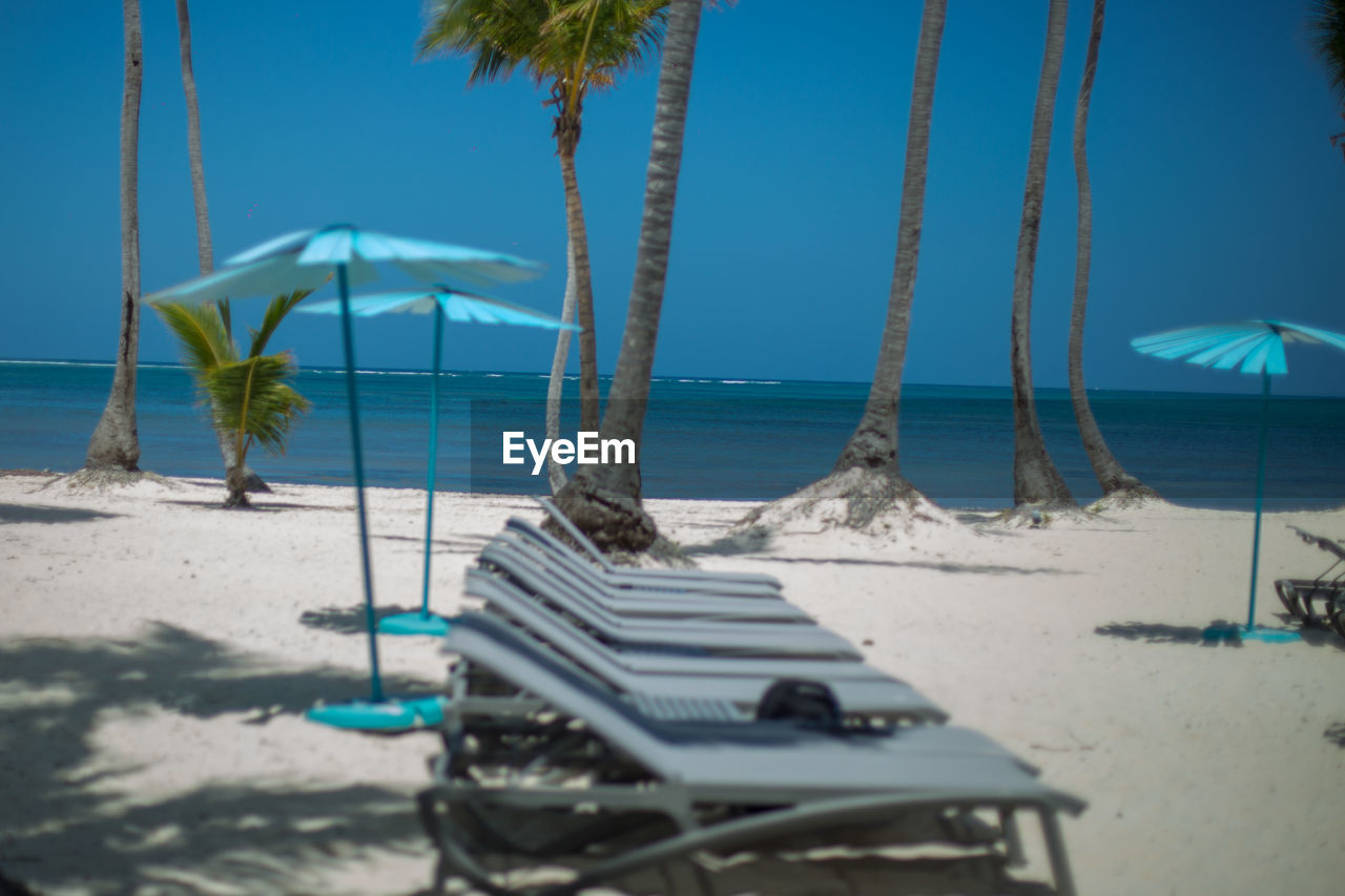 beach, tropical climate, sea, land, palm tree, water, sand, nature, ocean, vacation, sky, tree, chair, tranquility, horizon over water, beauty in nature, tranquil scene, horizon, scenics - nature, plant, shore, holiday, trip, sunlight, day, blue, bay, no people, lounge chair, seat, body of water, travel destinations, coast, idyllic, relaxation, outdoors, coconut palm tree, clear sky, resort, travel, absence, island, tropics, summer, tropical tree, sunny, deck chair, shadow, tourist resort, beach umbrella, parasol, shade