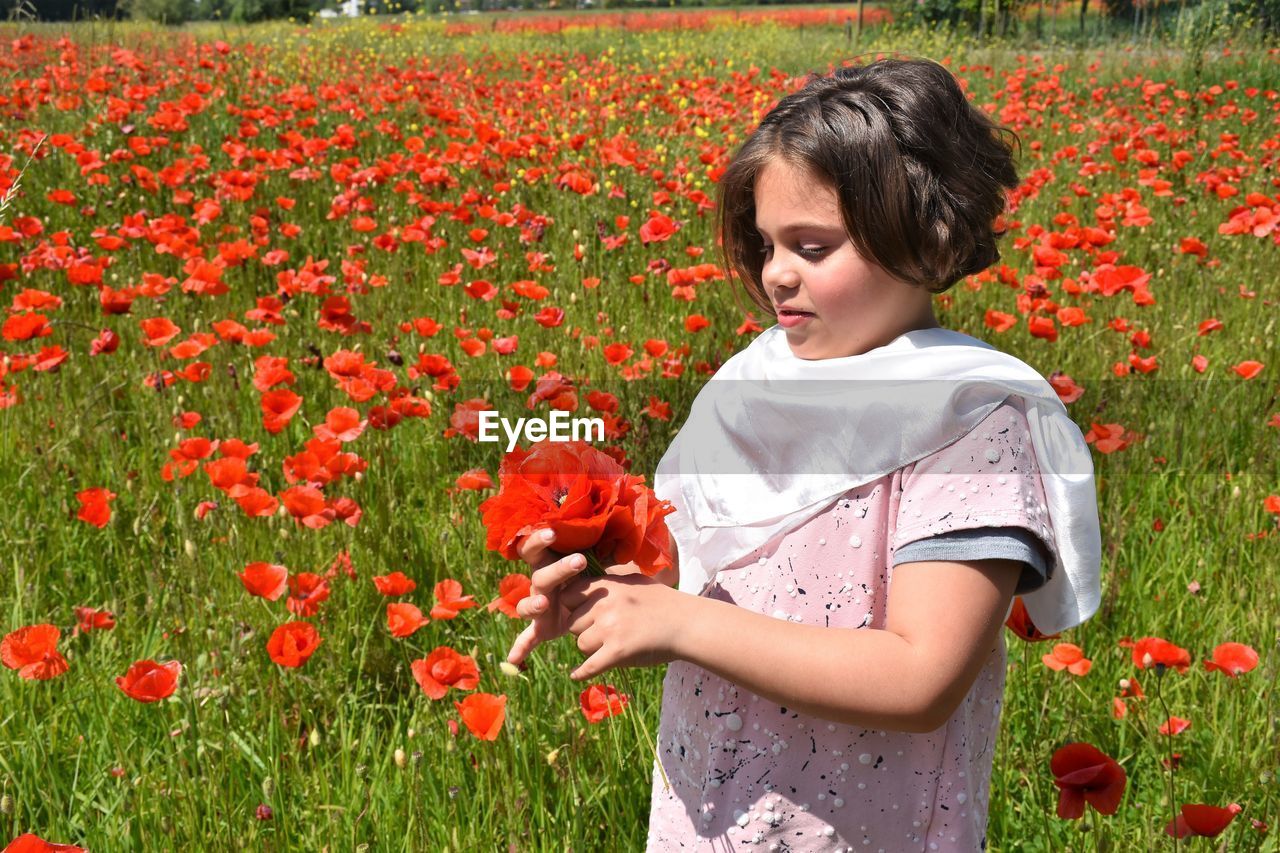 plant, flower, flowering plant, poppy, child, one person, nature, beauty in nature, field, red, meadow, growth, childhood, freshness, women, land, female, grass, wildflower, casual clothing, day, flowerbed, fragility, smiling, standing, outdoors, lifestyles, emotion, holding, flower head, looking, petal, landscape, leisure activity, waist up, autumn, happiness, toddler, cute, rural scene, summer, inflorescence, three quarter length, lawn, springtime, portrait, green, person, agriculture, plain, environment