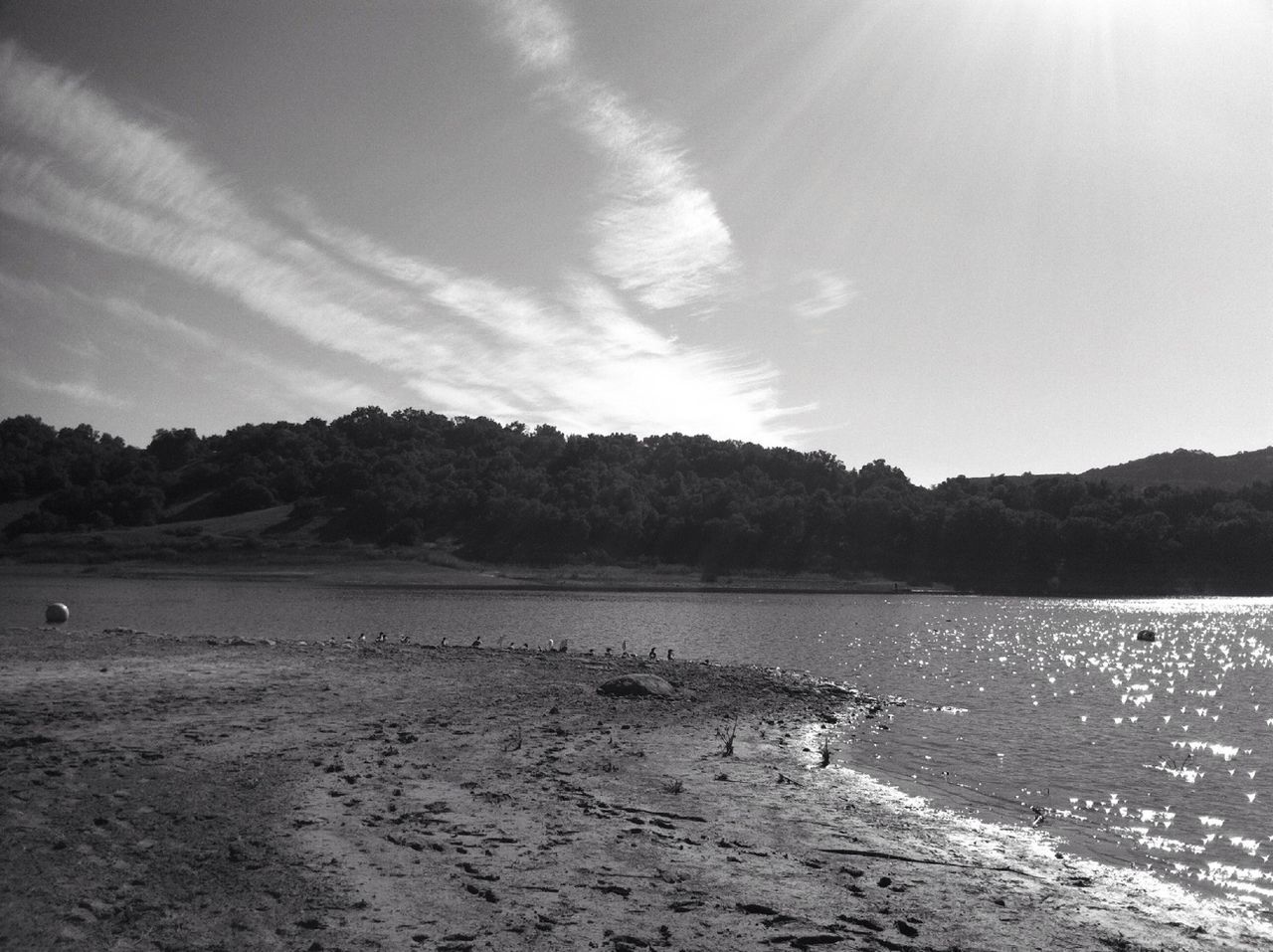 River beach in sunlight