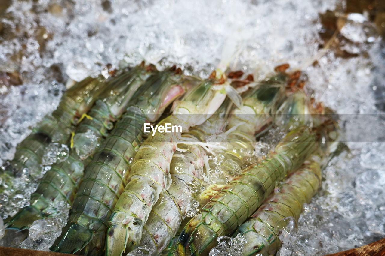 CLOSE-UP OF FISH FOR SALE AT MARKET