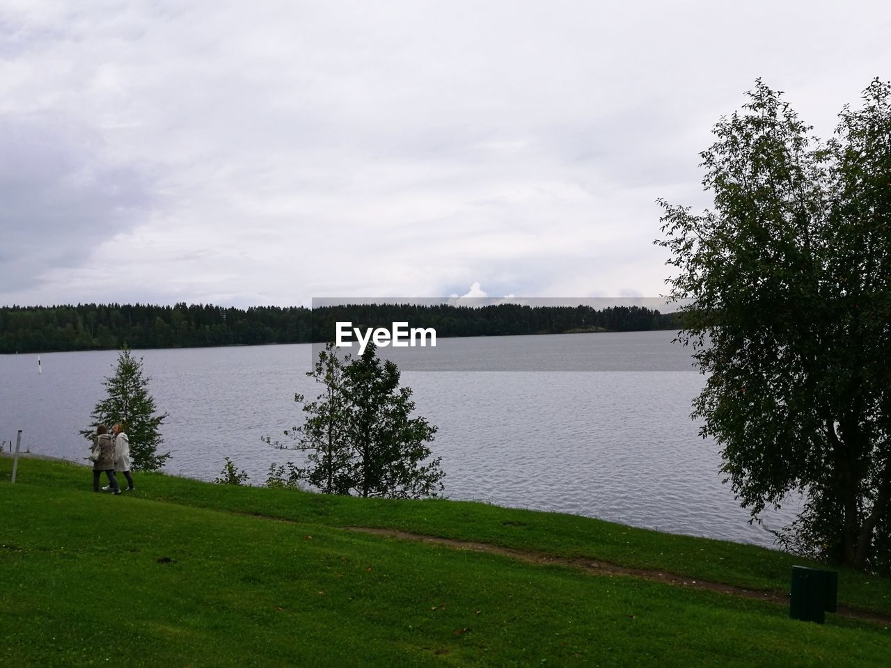 SCENIC VIEW OF LAKE WITH TREES IN BACKGROUND