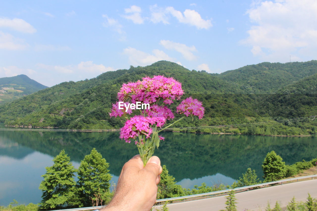 CROPPED IMAGE OF HAND HOLDING PINK FLOWERING PLANTS BY MOUNTAIN