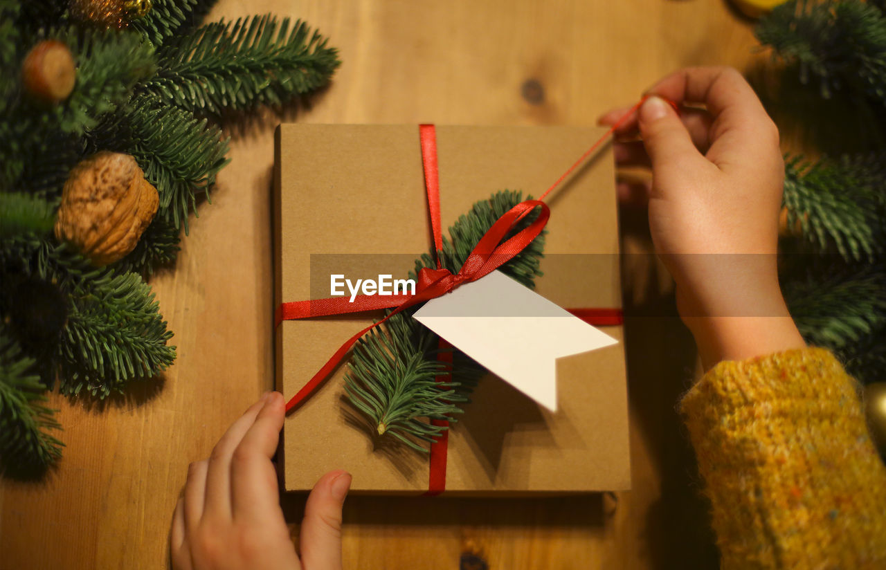MIDSECTION OF WOMAN HOLDING CHRISTMAS TREE AND PAPER