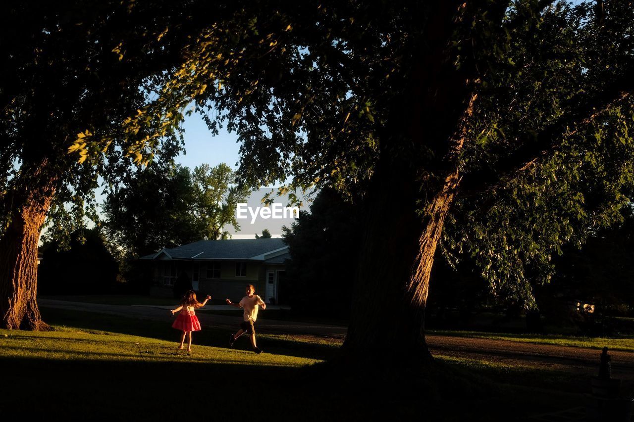 Siblings playing amidst trees on field at park