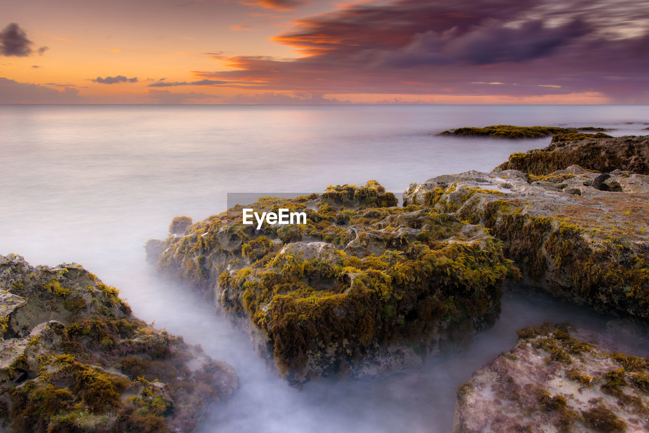 Mossy rocks at beach against cloudy sky during sunset