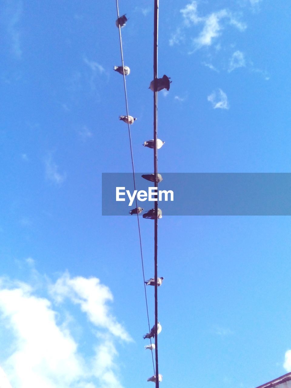 LOW ANGLE VIEW OF TELEPHONE POLE AGAINST BLUE SKY