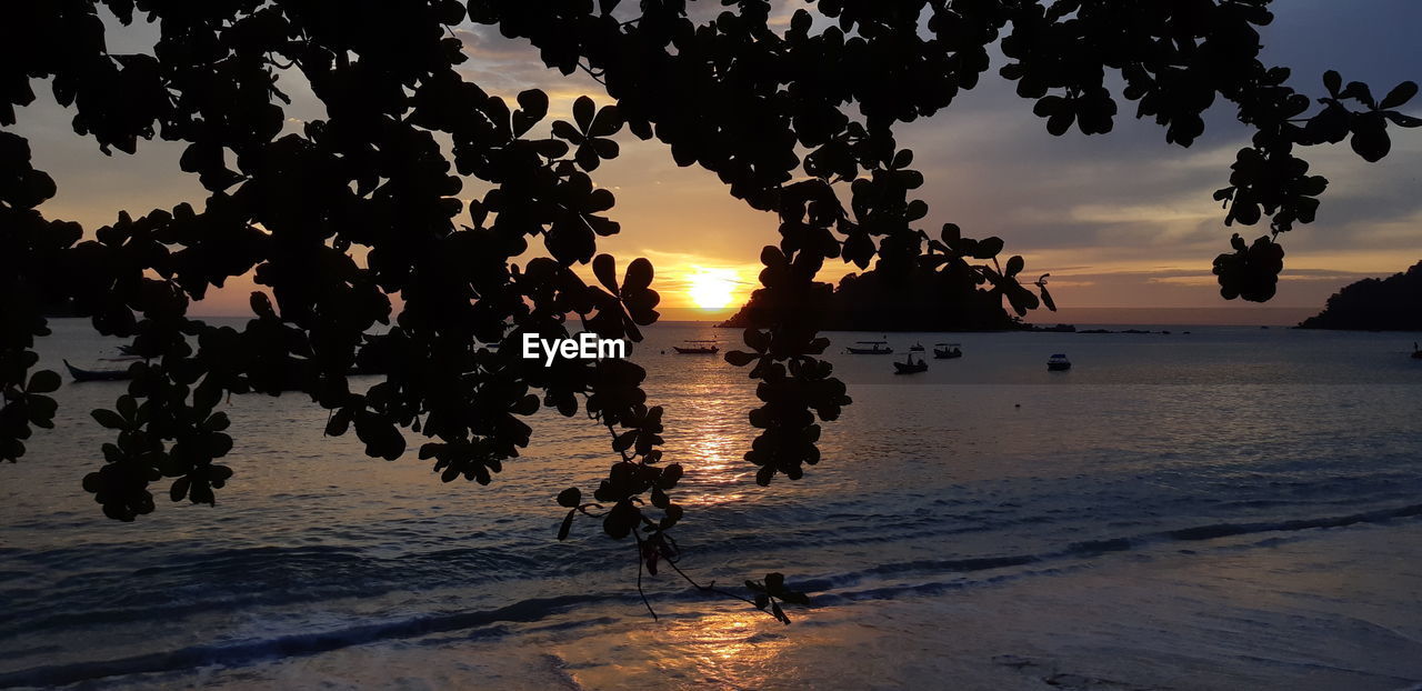 SILHOUETTE TREES BY SEA AGAINST SKY DURING SUNSET