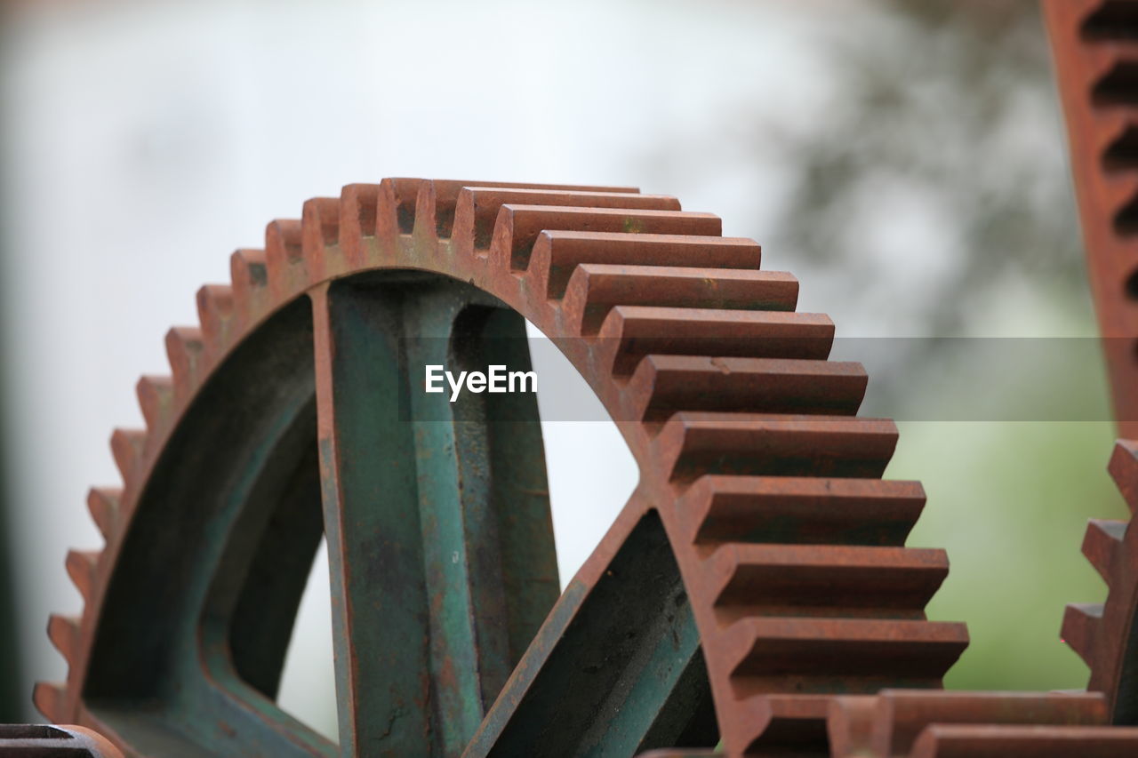 CLOSE-UP OF ROW AGAINST THE SKY IN SUNLIGHT