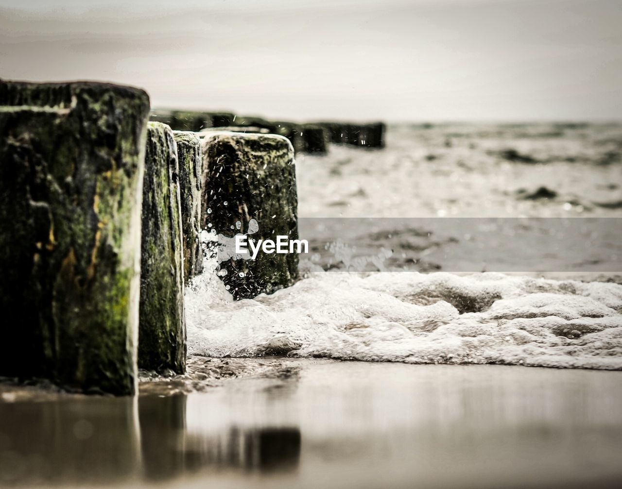 Close-up of weathered wooden posts at sea shore