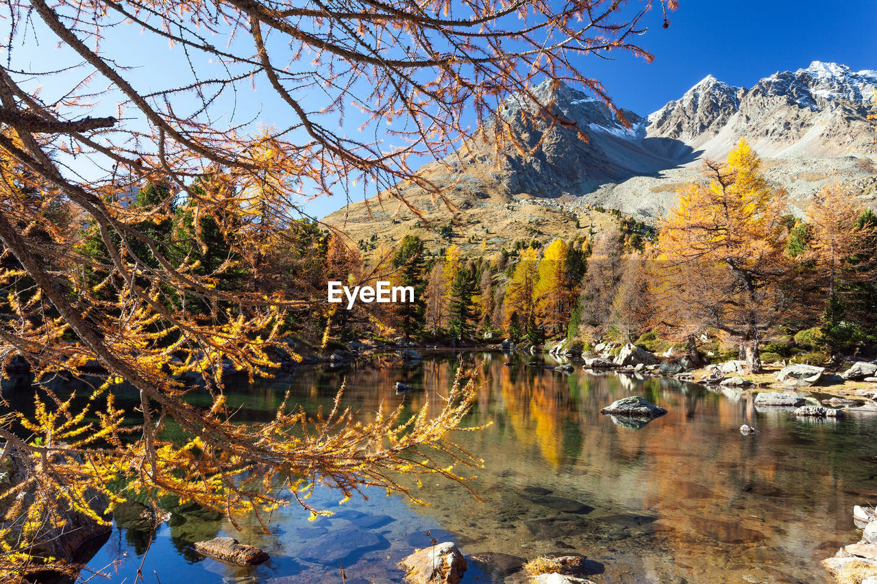 SCENIC VIEW OF LAKE BY TREES DURING AUTUMN