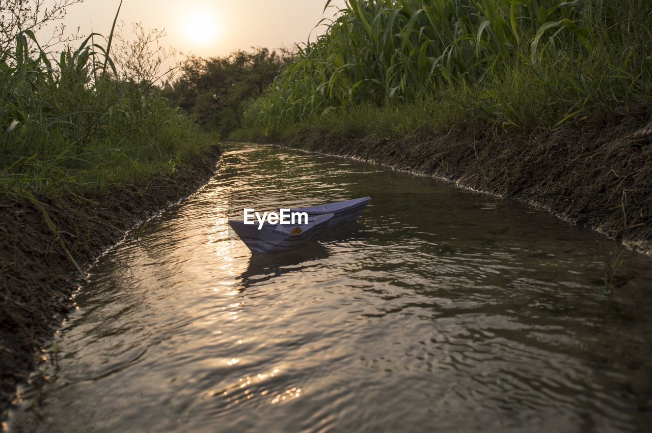 Paper boats floating in stream amidst plants