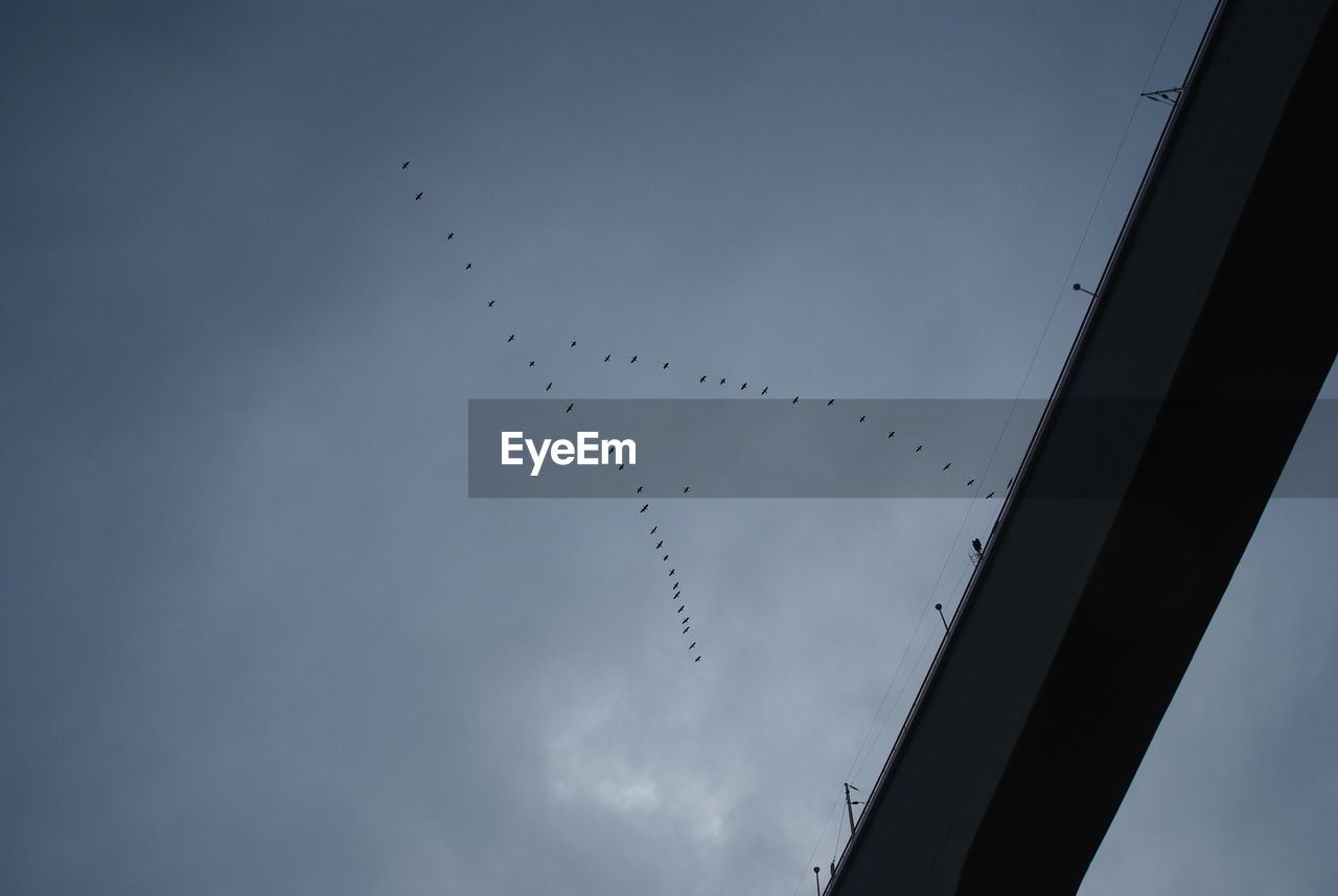 Low angle view of birds flying over bridge against sky