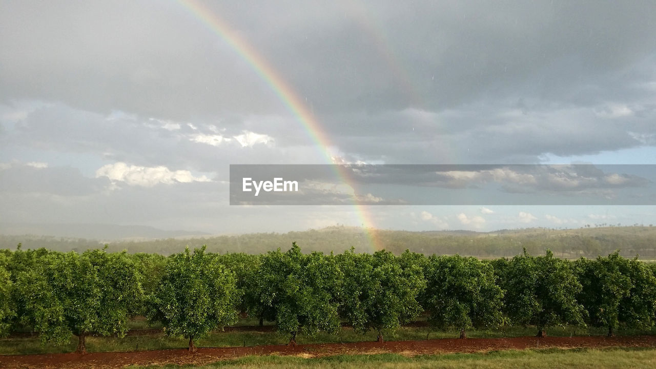 Scenic view of rainbow over field against sky