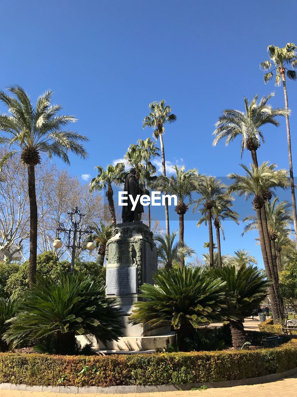 PALM TREES AGAINST SKY