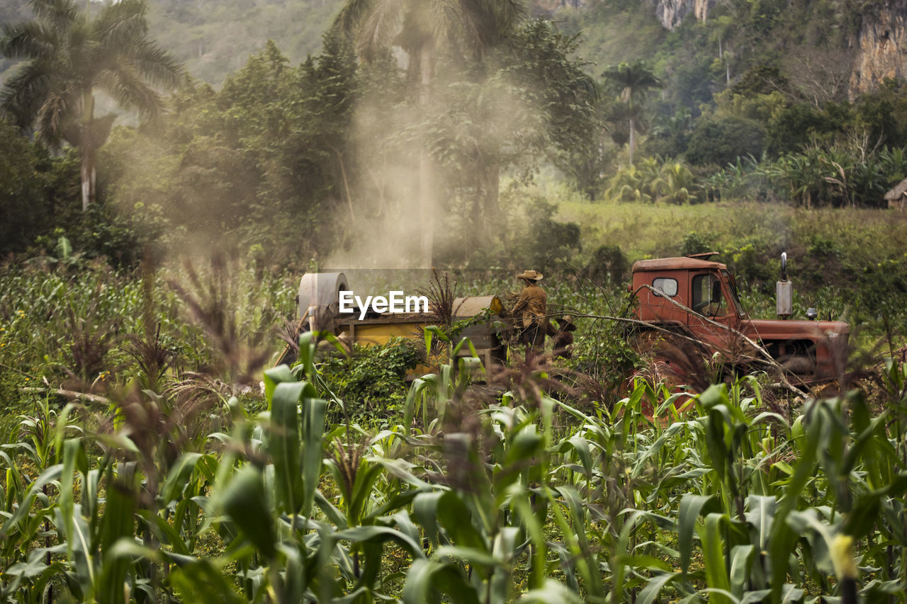 VIEW OF AGRICULTURAL FIELD